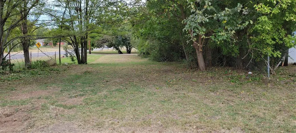 Grassy backyard path lined with trees